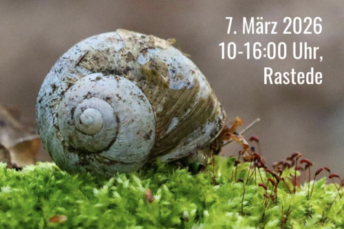 Raus aus dem Schneckenhaus